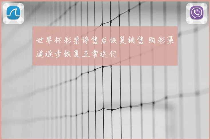 世界杯彩票停售后恢复销售 购彩渠道逐步恢复正常运行