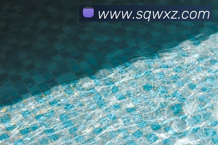 世界杯官网登录app发展历程